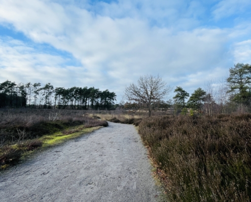 Weg in Heidelandschaft