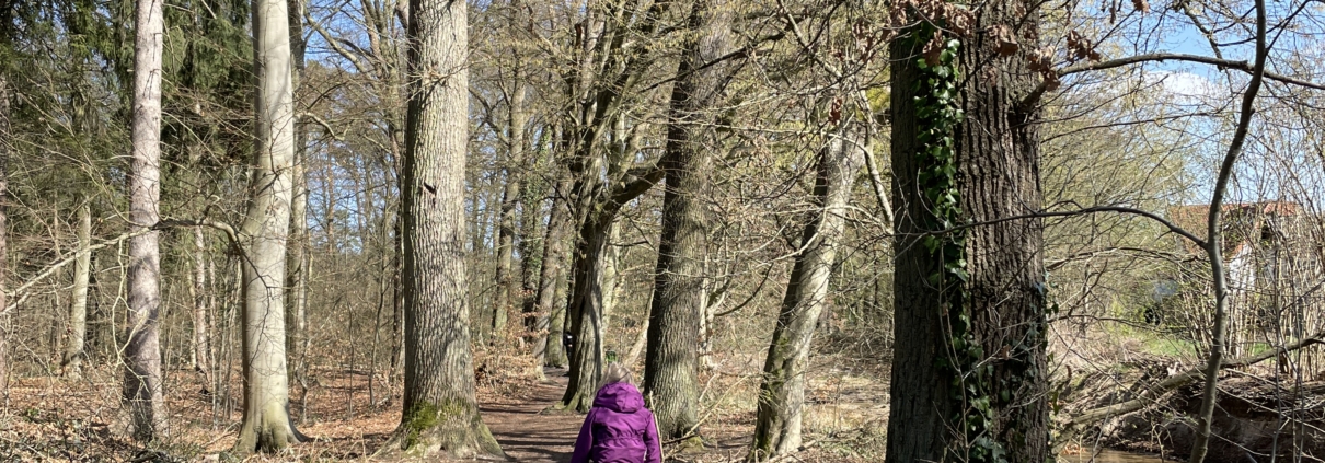 Kind sitzt auf Baumstamm im Wald