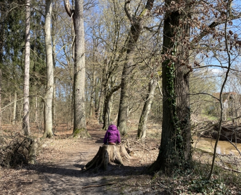 Kind sitzt auf Baumstamm im Wald