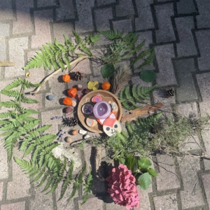 Mandala aus Waldmaterialien